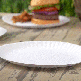 Comfy Package Disposable Kraft Uncoated Paper Plates, 9 Inch Large-  Unbleached